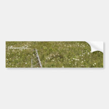 Simeonof Island Bumper Stickers