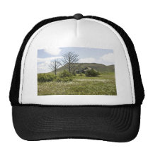 Simeonof island mesh hat