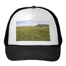 Simeonof island mesh hat