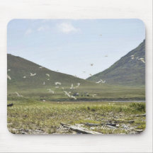 Simeonof Island Mouse Pads