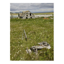 Simeonof Island Postcard
