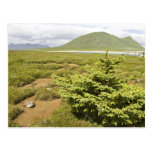 Simeonof Island Postcards