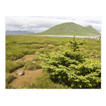 Simeonof Island Postcards
