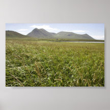 Simeonof Island Posters