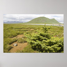 Simeonof Island Print