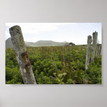 Simeonof Island Print