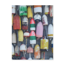 Similarity in a Sea of Differences Post Card