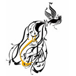 Simorgh & Iran t-shirts