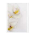 Simple Beauty Post Card