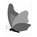 Simple Butterfly - Grey Post Card