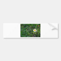 Simple Flower Adesivos