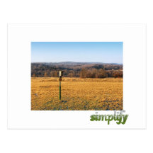 Simplify Postcard