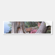 Simply Beautiful Bumper Sticker