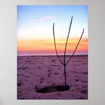 Simply Eco Art(SEA) Print