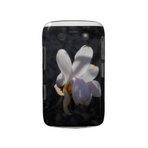 Simply Gorgeous Blackberry Blackberry Bold Cover