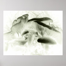 simply mushrooms poster