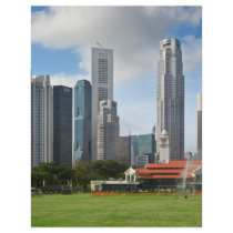 Singapore Flyer Design