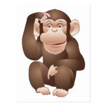 Singe curieux carte postale