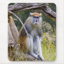 Singe de Patas Tapis De Souris
