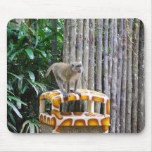 Singe sauvage de Singapour Tapis De Souris