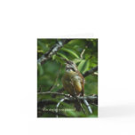 Singing Bird Photo Thank You Card