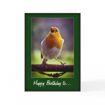 singing robin Birthday card