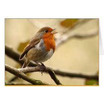 Singing Robin Greeting Card