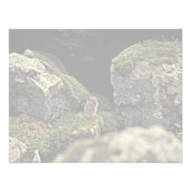 Singing Vole, Hall Island Custom Invitation