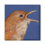 SINGING WREN MAGNET