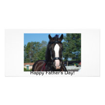 single black horse photo card