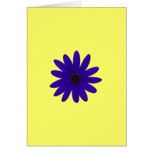 single blue/purple daisy flower greeting card