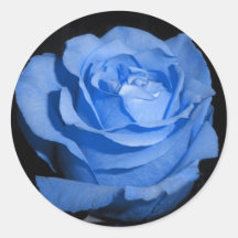 Single Blue Rose Stickers