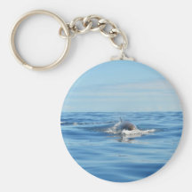 Single Bottlenose Whale Key Chains