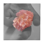 Single colour pink carnation tile