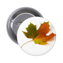 Single Coloured Maple Leaf On White Background Pinback Buttons