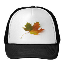 Single Coloured Maple Leaf On White Background Hats
