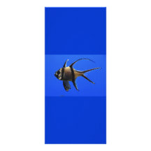 single-fish-in-aquarium rack card design