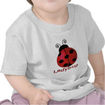 Single Ladybug