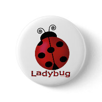 Single Ladybug