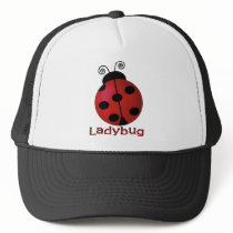 Single Ladybug