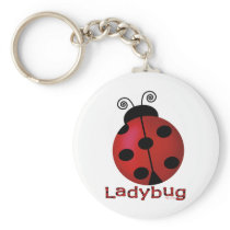 Single Ladybug