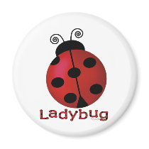 Single Ladybug