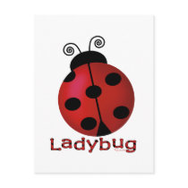 Single Ladybug