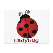 Single Ladybug