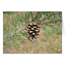 Single Pine Cone Card