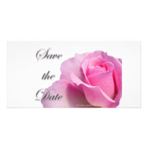 Single Pink Rose Save the Date Custom Photo Card