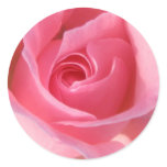 Single Pink Rose Round Sticker
