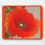 Single Poppy Mouse Pad