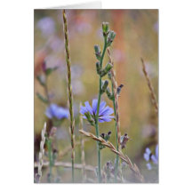 Single Purple Flower ~ Greeting Card