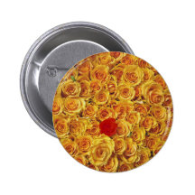Single Red in Yellow Bed Roses Pinback Buttons